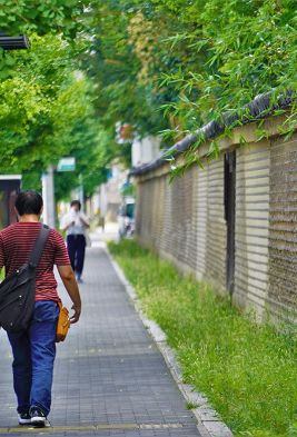 kyoto-shoseien-wall.jpg